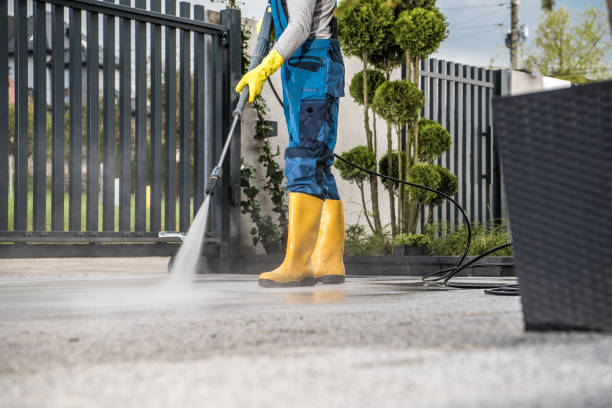 Best Roof Power Washing Services  in Greenbriar, FL